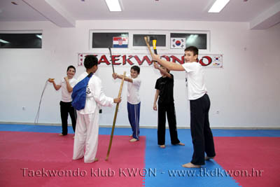taekwondo kwon training